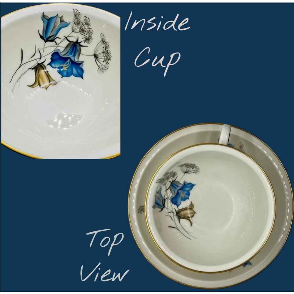 Rosenthal Winifred Teacup Saucer Selb Germany-Blue Bellflowers-Gold Trim-Vintage - Picture 6 of 10